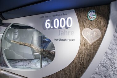 Kaiser-Franz-Josefs-Höhe, Ausstellung "Gletscher.Leben" | ©  Kaiser-Franz-Josefs-Hoehe, "Glacier.Life" exhibition