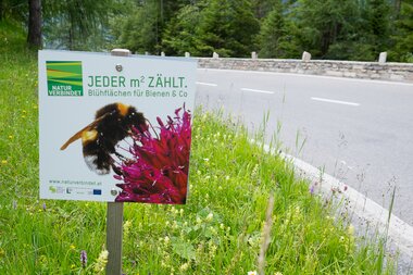 Glocknerstraße, Blumenwiese mit Schild "Jeder m2 zählt" | © grossglockner.at/Eduardo Gellner