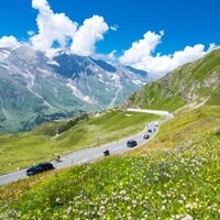 Glocknerstraße, Auffahrt Nordseite, mit Blumenwiese  | © grossglockner.at/Michael Stabentheiner