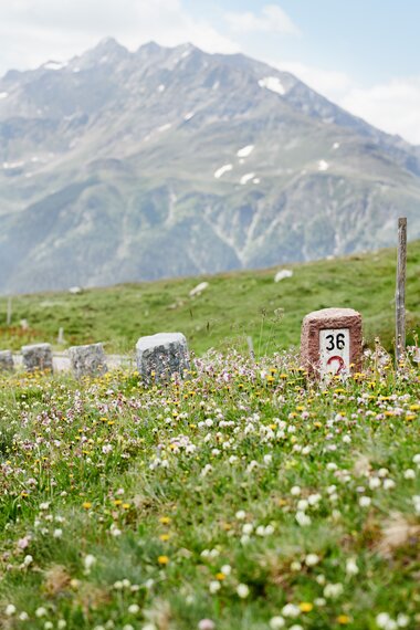 Blumenwiese und historischer Randstein  | © grossglockner.at/Königshofer